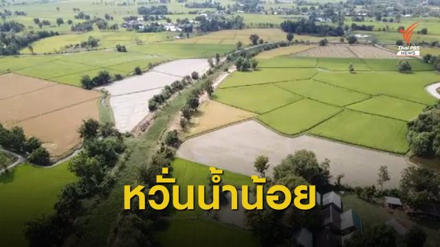 เตือนชาวนาห้ามปลูกข้าวนาปรังรอบ 2