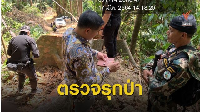 DSI ลงพื้นที่สืบสวนบุกรุกป่า-ตัดไม้ อ.ศรีสาคร จ.นราธิวาส