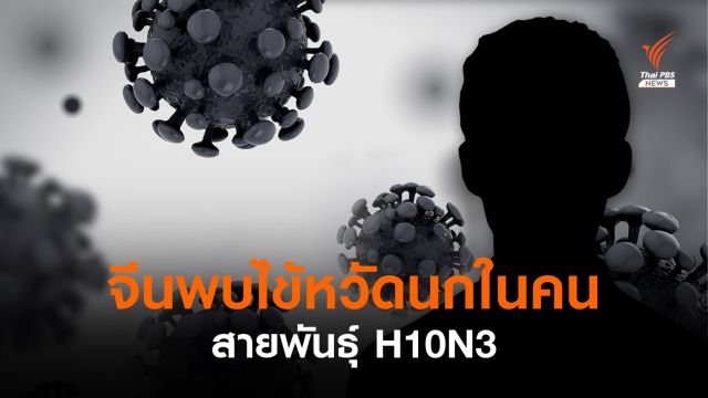 จีนพบไข้หวัดนกสายพันธุ์ " H10N3" ครั้งแรกในคน