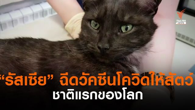รัสเซียเริ่มฉีดวัคซีนป้องกันโควิด-19 ให้สัตว์ ชาติแรกของโลก