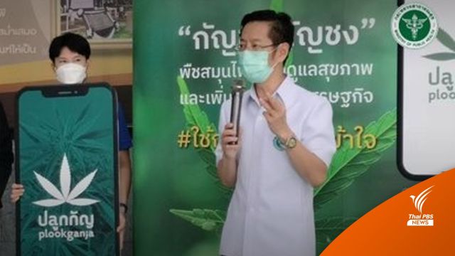 เช็ก 3 ขั้นตอน จดแจ้งปลูก "กัญชา-กัญชง" ผ่านแอปฯ