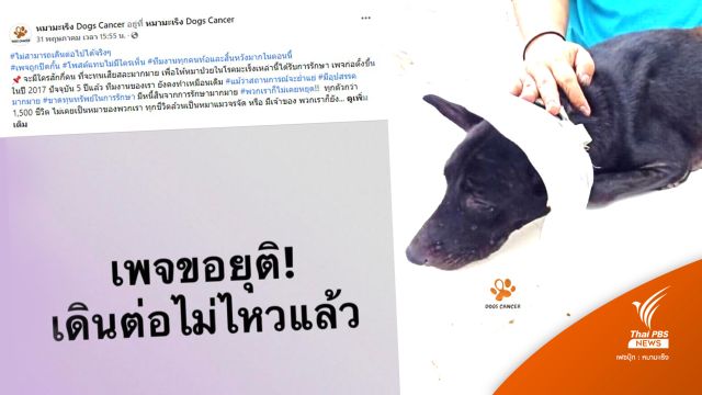 เพจ "หมามะเร็ง" ชี้แจงดรามาขอรับบริจาคถี่ ยันภาระค่าใช้จ่าย 5 แสนต่อเดือน