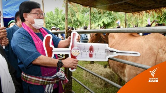 เปิดแผนกระจายวัคซีน "ลัมปี- สกิน" 5 ล้านโดส 65 จังหวัด