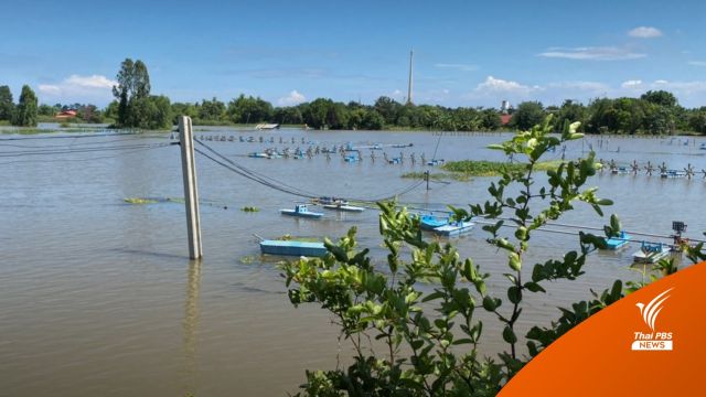 น้ำท่วม จ.สุพรรณบุรี กว่า 1 สัปดาห์ กระทบผู้เลี้ยงกุ้ง 