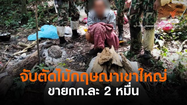 2 วันติด! จับไทย-กัมพูชาลอบตัด "ไม้กฤษณา" บนเขาใหญ่  