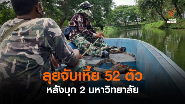 กรมอุทยานฯ ลุยจับเหี้ย 52 ตัว ใน 2 มหาวิทยาลัย