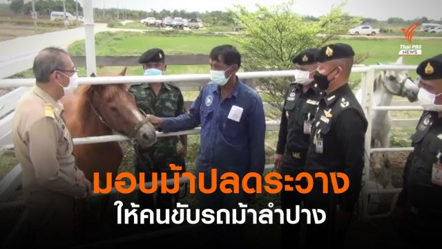 มอบม้าปลดระวางให้คนขับรถม้าลำปาง