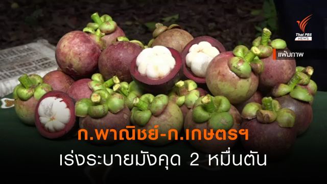 ก.พาณิชย์-ก.เกษตรฯ เร่งระบายมังคุด 2 หมื่นตัน