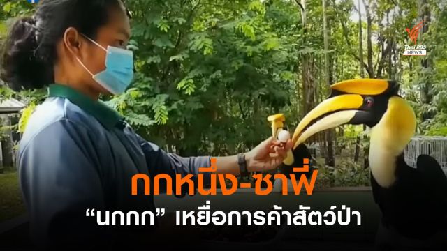 "กกหนึ่ง-ซาฟี่" นกกกขวัญใจรอดจากเหยื่อค้าสัตว์ป่า