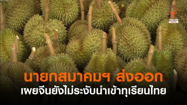 นายกสมาคมฯ ส่งออกเผยจีนยังไม่ห้ามนำเข้าทุเรียนไทย
