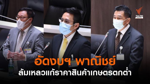 อัดงบฯ พาณิชย์ ล้มเหลวแก้ปัญหาราคาสินค้าเกษตรตกต่ำ