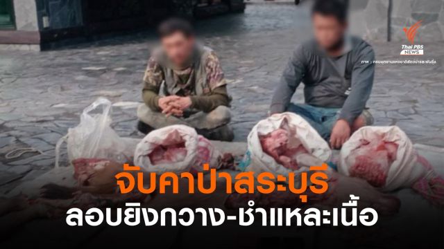 รวบพราน 2 คน ลอบฆ่าชำแหละกวางกลางป่าเจ็ดคต
