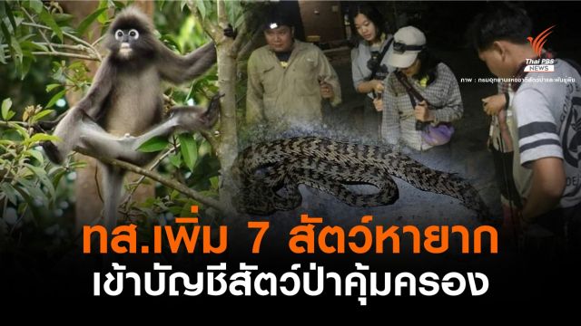ชง "ค่างตะนาวศรี - งูหางแฮ่มกาญจน์" เข้าบัญชีสัตว์ป่าคุ้มครอง