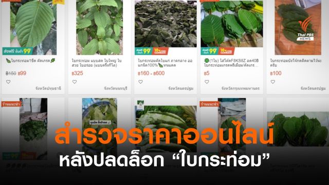 ตลาดออนไลน์ขาย "ใบกระท่อม" หลังปลดล็อกสูงสุด กก.ละเกือบพัน