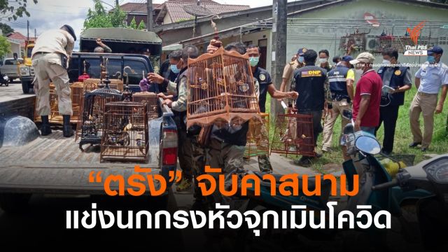 อุทยานฯ นำจับแข่ง "นกกรงหัวจุก" ฝ่าพ.ร.ก.ฉุกเฉิน-โควิด