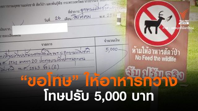 นักท่องเที่ยว “ขอโทษ” จ่ายค่าปรับให้อาหารกวางเขาใหญ่