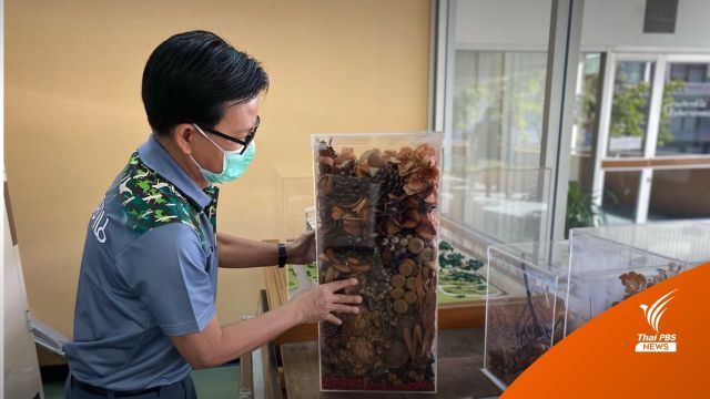 ไขคำตอบ “กระเช้าสีดา” ไม่ใช่กาฝาก เหมือนคำในละคร 