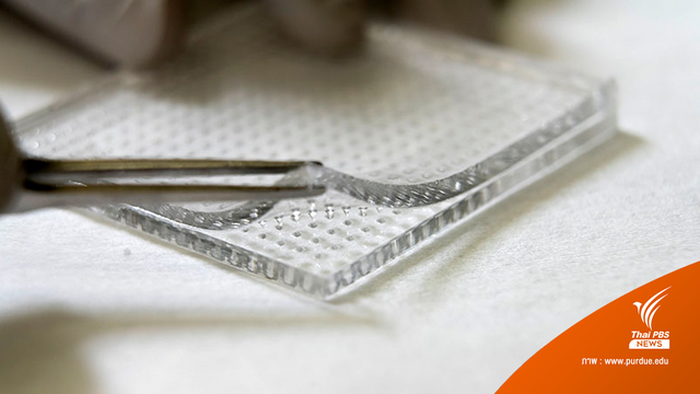 Microneedles แผ่นแปะรักษาแผล ลดติดเชื้อ ป้องกันเกิดแผลเรื้อรัง