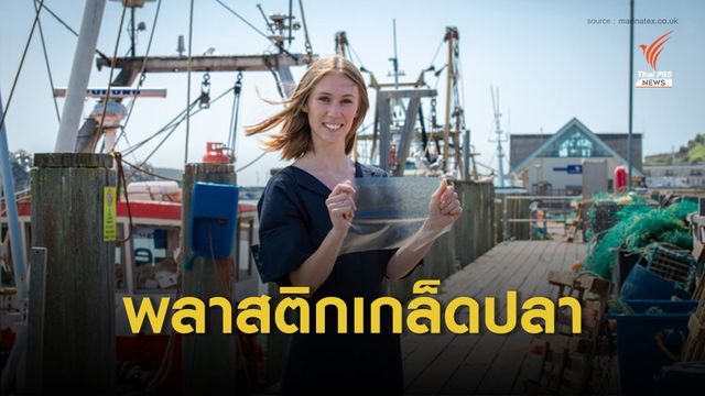 นักศึกษาอังกฤษพัฒนาพลาสติกจาก "เกล็ดปลา-สาหร่ายทะเล"