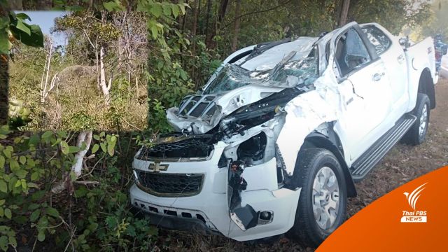​เร่งติดตาม “ช้างป่าสลักพระ” ถูกรถกระบะพุ่งชนขาหัก