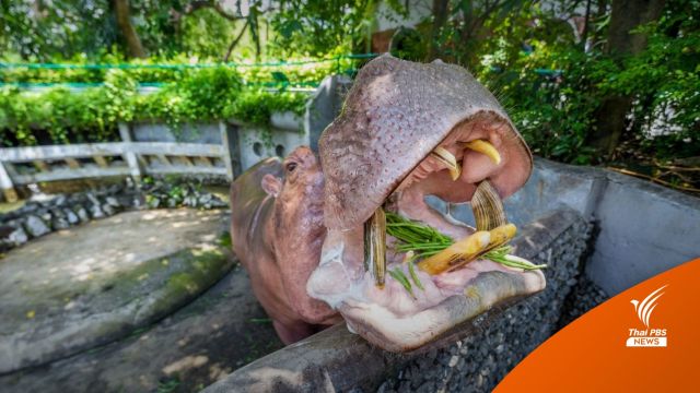ไฟเขียวงบฯ 1,109 ล้านบาทสร้างสวนสัตว์แห่งใหม่ 