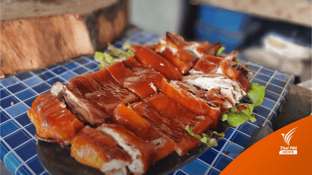 เกษตรกรหันมาเลี้ยงหมูป่าหลังเผชิญโรคระบาด		
