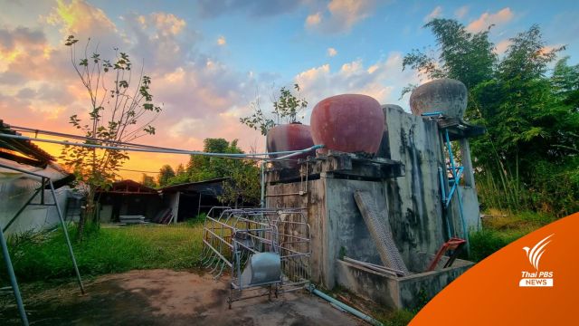 Contract Farming ในมุมคนเลี้ยงหมู