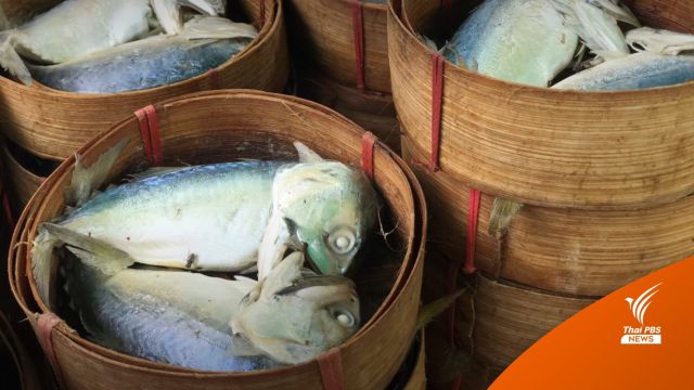 ข่าวปลอม! สัมผัสสารกันบูด "ปลาทูนึ่ง" ทำให้เป็นมะเร็งที่มือ