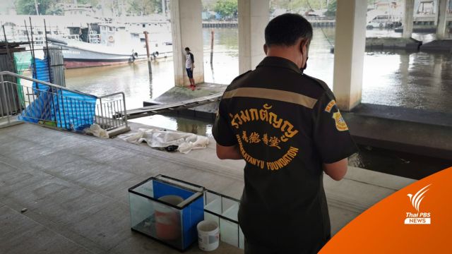 ถกทีมสืบสวนคดีพบชิ้นส่วนศพลอยน้ำ ตร.คาดฆ่าตัวตาย