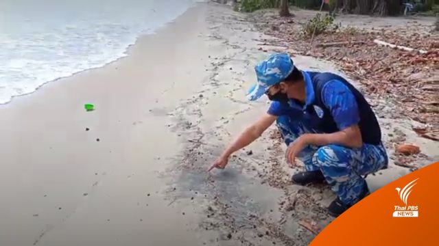 พบ "ผงสีดำ-ก้อนน้ำมัน" โผล่อีกที่หาดแม่รำพึง 