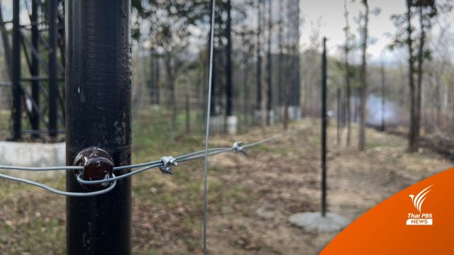 อุทยานฯ แจงรั้วกันช้าง 3 เขตป่าอนุรักษ์คืบหน้า 80% 
