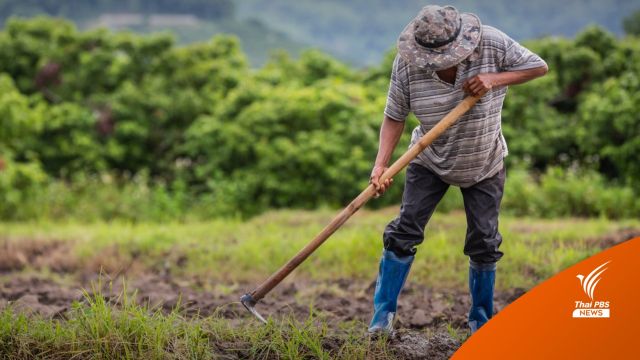 ครม.อนุมัติ 2,000 ล้านบาท ให้กองทุนฟื้นฟูและพัฒนาเกษตรกร
