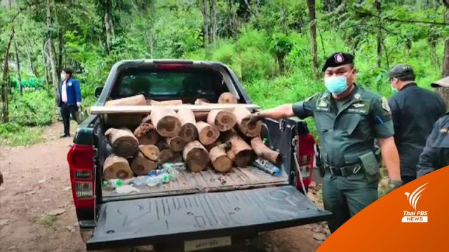 แจ้ง 2 ข้อหาเจ้าสำนักประหลาดครอบครอง "ไม้พะยูง-ซากเลียงผา" 