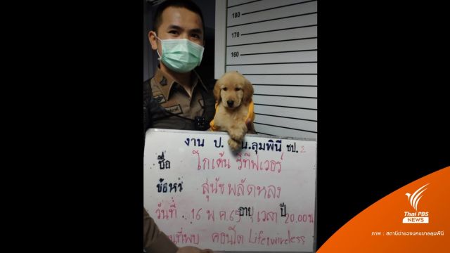 เจ้าของมารับ "มูมู่" น้องหมาพลัดหลงที่สน.ลุมพินีแล้ว  
