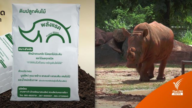 สวนสัตว์โคราชผลิต "ดินพลังแรด" ทางเลือกใหม่เกษตรกร 
