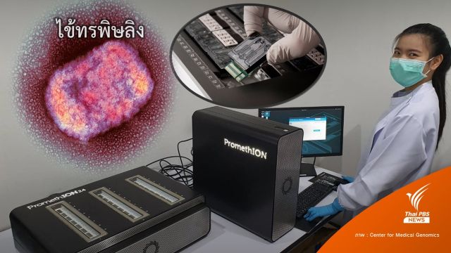 ศูนย์จีโนม ถอดรหัสพันธุกรรม "ฝีดาษลิง" คาด 2 สัปดาห์มีชุดตรวจ 