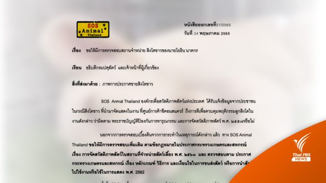 SOS Animal เสนอรัฐเพิ่มกฎหมายคุมจัดแสดงสัตว์นำเข้าในห้างฯ