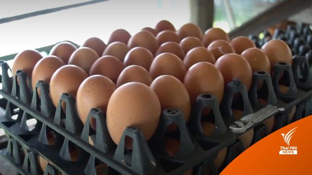 ไข่ไก่คละหน้าฟาร์มปรับ 10 สตางค์ต่อฟอง
