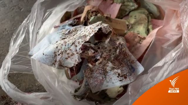 อุทาหรณ์! ออมเงินในถังไม้อัด ปลวกกินเกือบแสน