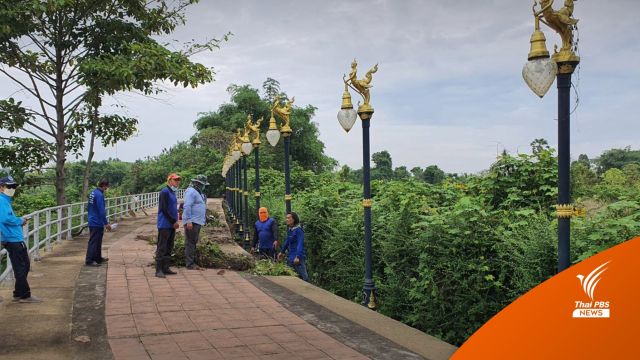 ขีดเส้น 3 เดือนสอบทุจริต "เสาไฟฟ้ากินรี" คลองพระสะทึง 