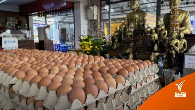 รอบที่ 3  "ไข่ไก่" ปรับขึ้นราคาฟองละ 3.40 บาทพรุ่งนี้ 