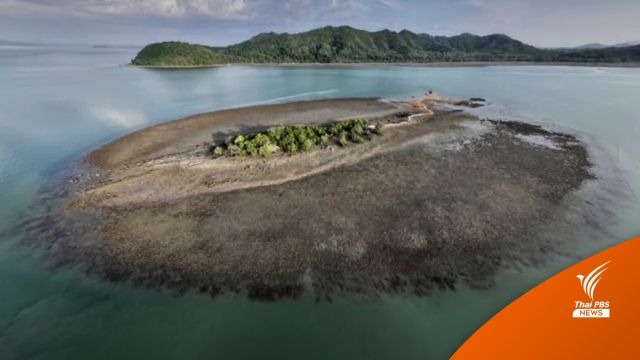 น้ำทะเลลด 15 ซม.ทำปะการังเกาะเฮพัง พบสมบูรณ์ไม่ถึง 5%  