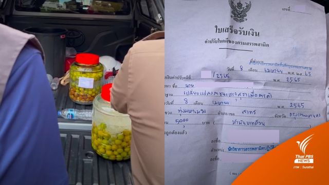 สรรพสามิตปรับ 1 หมื่นบาท "ดองเหล้าบ๊วย" ในร้าน