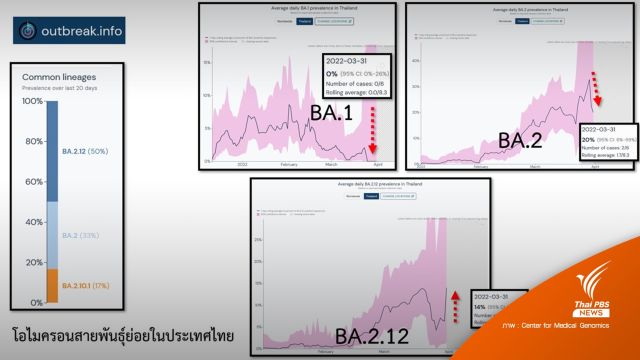ศูนย์จีโนมฯ เตือนเฝ้าระวังโอมิครอนสายพันธุ์ย่อย BA.2.12.1