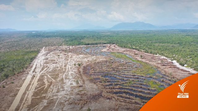 ทส.ประเมินค่าเสียหาย "แก้มลิงเกาะพระทอง" รุกป่า 29 ล้าน