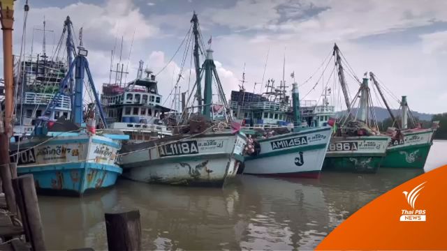 เรือพาณิชย์ จ.ตรัง งดออกเรือ สู้ราคาน้ำมันไม่ไหว