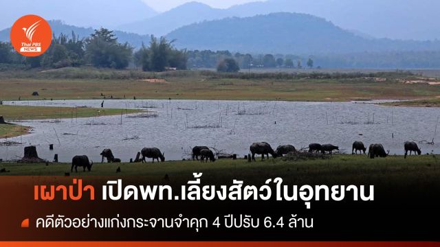 เตือนเผาป่าเปิดพท.เลี้ยงสัตว์ในอุทยานฯจำคุก 20 ปี ปรับ 2 ล้าน 