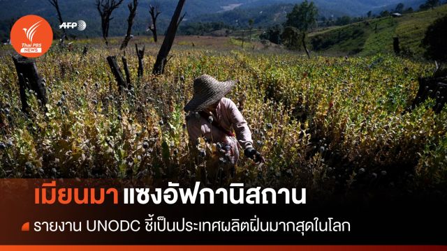 รายงาน UNODC ชี้ "เมียนมา" ผลิตฝิ่นมากสุดในโลกแซงอัฟกานิสถาน
