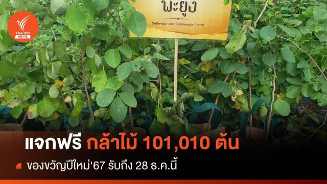 แจกกล้าไม้ 101,010 ต้น ของขวัญปีใหม่ '67 รับถึง 28 ธ.ค.นี้ 