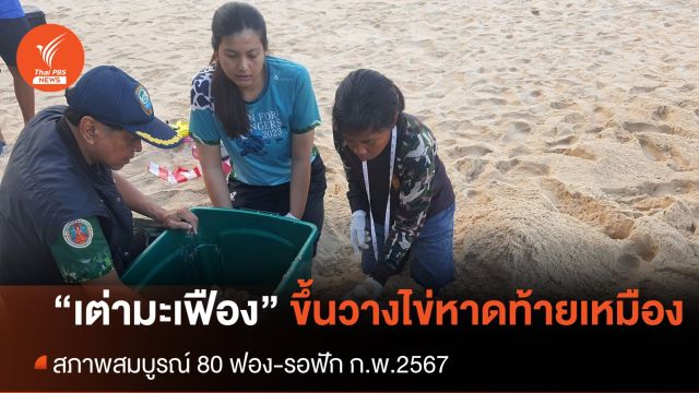 “แม่เต่ามะเฟือง” ขึ้นมาไข่อีกแล้ว รังที่ 4 ของปีนี้ ที่อุทยานฯ เขาลำปี-หาดท้ายเหมือง
